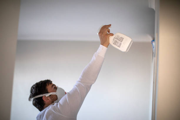 Best Bathroom Mold Remediation in Piedmont, CA